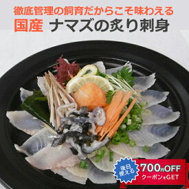 国産 なまずのあぶり刺身100g×3 コモリ食品 ギフト のし対応可