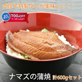国産 なまずの蒲焼 600gセット コモリ食品 ギフト のし対応可