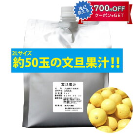 無添加100％文旦果汁 2kgパック ストレート 岡林農園