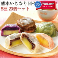 お中元 2026 芋屋長兵衛　熊本名物「いきなり団子」20個セット（プレーン・さくら・よもぎ・紫芋・黒糖の…