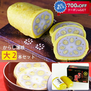 c X炵@  480g×2{ R 񂱂 F{ hܕsgp NIPPON OMIYAGE AWARD ό X炵@ Mtg ̂Ή