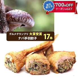 ナバ手羽餃子 ギフト 17本入 宮崎の新名物 岡田商店 原木椎茸たっぷり 保存料、化学調味料、不使用2017年春 本格発売 なば手羽餃子 ギフト のし対応可