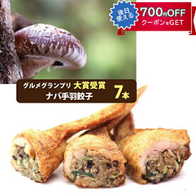 お歳暮 ナバ手羽餃子 ギフト 7本入 宮崎の新名物 岡田商店 原木椎茸たっぷり 保存料、化学調味料、不使用2017年春 本格発売 なば手羽餃子 ギフト のし対応可 冬ギフト