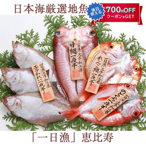 お歳暮 日本海厳選地魚一夜干「一日漁」恵比寿(えびす) のどぐろ、甘鯛、れんこ鯛、かれい 国産 島根産 無添加 岡富商店 -おかとみ- ギフト のし対応可 冬ギフト