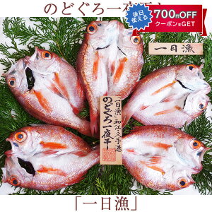 お歳暮 のどぐろ一夜干「一日漁」小 70〜100gサイズ(5〜6枚) 国産 島根産 無添加 岡富商店 -おかとみ- ギフト のし対応可 冬ギフト