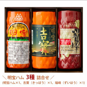 Ε n 3 l(n AgiۂjAiقje1) YH ~Mtg