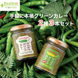 グルグルグリーンカレー ペースト 2種3個セット（ノーマル×2、HOT（辛口）×1） アレルゲンフリー27品目不使用 栽培期間中農薬不使用のとうがらし使用 原料は全て植物性 風土空感バンブー