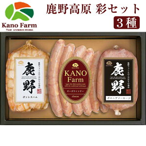 Ε n \[Z[W 썂 ʂZbg YT-302 i{Xn/`[YECi[/{jA\[Z[W ×e1܁j t@[ l nC|? Mtg ̂Ή ~Mtg