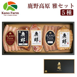 Ε n \[Z[W 썂 5 Zbg YT-503ie҂|[NECi[/`[YECi[/ē/JifBA[Xn/{Xnj t@[ l nC|? ̂Ή 