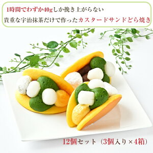 hV̓ sER F JX^[hThǂĂ 12Zbgi3×4j Ea 傤E͂ ̂Ή Mtg