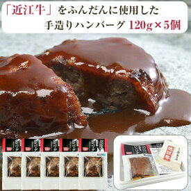 近江牛 ハンバーグ （デミグラスソース） 120g×5個セット 肉のあさの のし対応可　お中元　御中元