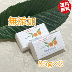 【送料無料】みなみちたフルーツソープ（85グラム×2個）無添加石鹸 無添加 せっけん フルーツ 石鹸 ビワ エキス びわ エキス 枇杷エキス フルーツエキス びわの葉エキス ビワの葉エキス 固形石鹸 固形せっけん 固形 石けん 固形ソープ 保湿 ギフト みなみちたフルーツ