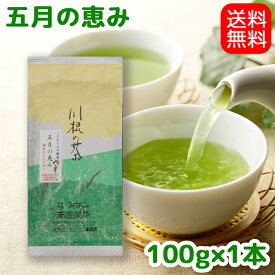 【送料無料】こだわりの川根茶5月の恵み100gお茶 茶葉 日本茶 緑茶 深蒸し茶 静岡茶 川根茶 やぶきた