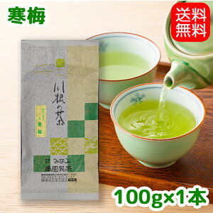 yz~100g t { Β [ É 썪 Ԃ