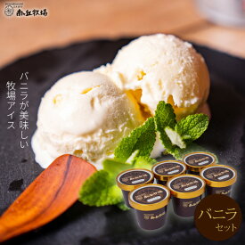 ＼バニラが美味い牧場アイス／ ［南ヶ丘牧場のアイスクリーム］(バニラセット) 敬老の日 ギフト 秋ギフト ソーシャルギフト プレゼント 誕生日祝い 出産内祝 結婚内祝 お礼 卵不使用 送料無料 高級アイス 濃厚ミルク 定番 ロングセラー 詰め合わせ お取り寄せ