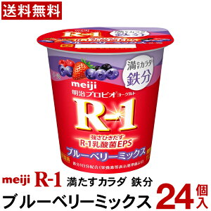yʏƒ̑I\z  vrI R-1 J_ S u[x[ ~bNX 112g 24 yzyN[ցz [Og r1 r-1 ܂Ƃߔ y Hׂ郈[Og R]1[O
