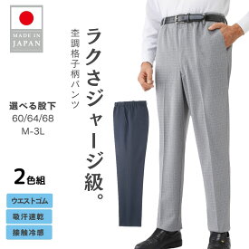 パンツ ウエストゴム メンズ 涼しい 2枚組 日本製 高齢者 ズボン シニア シニアファッション 春 夏 70代 80代 おじいちゃん お父さん 誕生日 紳士 総ゴム スラックス 股下60cm 股下64cm 股下68cm 大きいサイズ LL 3L 父の日 プレゼント 介護 通院