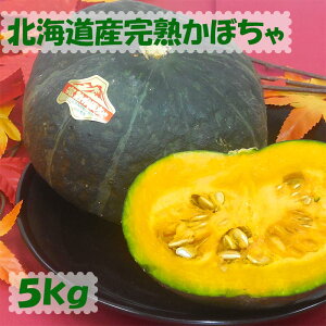 lCkCYققڂ 5kg(2ʁ`4)  y  z