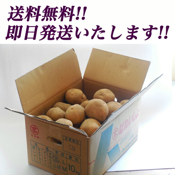 楽天市場】【数量限定】北海道産越冬「きたかむい」2Lサイズ10kg【送料 