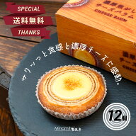【店長イチオシ 送料込 ヒルナンデスで紹介されました】 見波亭 濃厚焦がしチーズバウム 12個セット 6個…