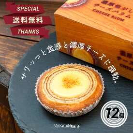 【店長イチオシ 送料込 ヒルナンデスで紹介されました】 見波亭 濃厚焦がしチーズバウム 12個セット 6個入×2箱 ギフトで絶賛 クリームチーズ お取り寄せ 手土産 プレゼント 縁起物 洋菓子 千葉 スイーツ おやつ お菓子 バウムクーヘン 通販 ベイクドチーズ