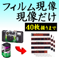 カラー フィルム現像 現像のみ 40枚撮りまで対応