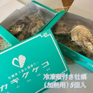 Ⓚkty Mp 5 茧Y