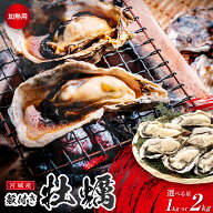 【菌検査済】牡蠣 殻付き 2kg 1kg サイズ様々 送料無料 宮城県産 【プロトン凍結で鮮度そのまま】 殻付き…