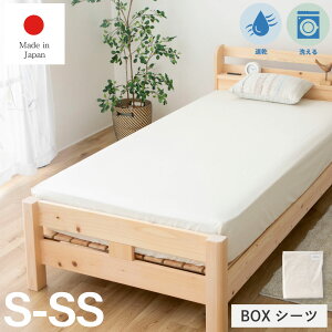 Tb5OFFN[|SALEbPi{bNXV[c V[gZ~VO BOXV[c1 SS̓{ ₷VɂȂɂ TTCu[hn 炳ƂGSn SSŎ