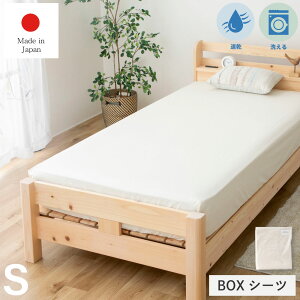 Tb5OFFN[|SALEbPi{bNXV[c VO BOXV[c1 SS̓{ ₷VɂȂɂ TTCu[hn 炳ƂGSn SSŎtȒP 