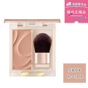 �y�������K�i�zexcel �G�N�Z�� �V�[�����X�g�[�� �u���b�V�� �{�� SB04�g�[�X�g 3g