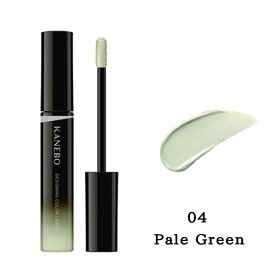 【カラー選べる】【国内正規品】KANEBO カネボウ デザイニングカラーリクイド 5.6g 01/02/03/04/05 コンシーラー 美容液