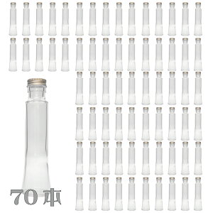 KXr }[Ch 100ml 70{Zbg Ɩp Wt hbVO {g  ۑe LjX^[