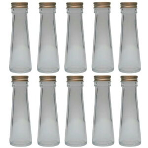 n[oE r e[p[ 50ml 10{Zbg Lbvt n[oE̍ KCht ln[oEԓX