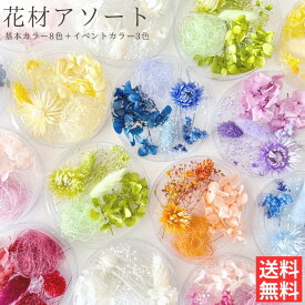 【通常カラー】ハーバリウム 花材 アソート セット ドライフラワー プリザーブドフラワー おすすめ 花材セット 人気 詰め合わせ 小花 ハンドメイド 工作 髪飾り ヘアパーツ 花束 レジン フラワーアレンジリース キャンドル 紫陽花 福袋 スタッフおまかせ ランダム 初心者