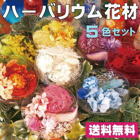 ハーバリウム 花材セット 5色入り 花材の詰め合わせ 中身が見えるクリアケースに入っています 横浜ハーバリウム弐番店