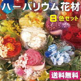 ハーバリウム 花材セット 8色入り 花材の詰め合わせ 中身が見えるクリアケースに入っています 横浜ハーバリウム弐番店
