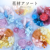 【通常カラー】ハーバリウム 花材 アソート 花材2色 ミックス ドライフラワー プリザーブドフラワー 花材…