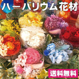 ハーバリウム 花材 アソート 花材の詰め合わせ 中身が見えるクリアケースに入っています 横浜ハーバリウム弐番店