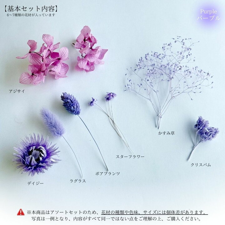 楽天市場】ハーバリウム 花材セット 8色入り 花材の詰め合わせ 中身が 