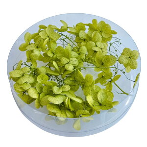 ハーバリウム 花材 あじさい ブリザーブドフラワー 中身が見えるクリアケースに入っています 横浜ハーバリウム弐番店