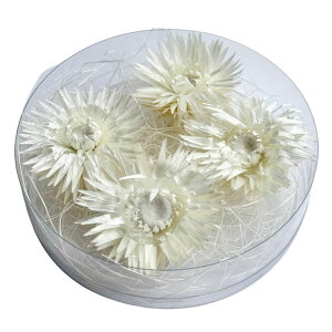 n[oE ԍ fCW[ uU[uht[ gNAP[XɓĂ܂ ln[oEԓX