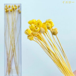 n[oE ԍ WW_ uU[uht[ gNAP[XɓĂ܂ ln[oEԓX