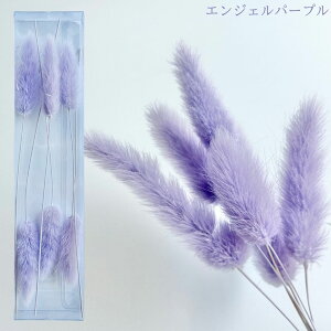 n[oE ԍ OX uU[uht[ gNAP[XɓĂ܂ ln[oEԓX