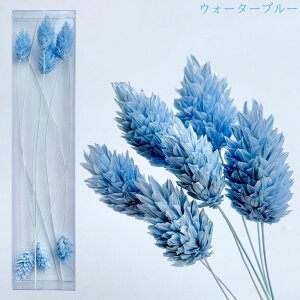 n[oE ԍ |Avc uU[uht[ gNAP[XɓĂ܂ ln[oEԓX