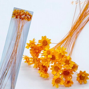 n[oE ԍ X^[t[ubT uU[uht[ gNAP[XɓĂ܂ ln[oEԓX