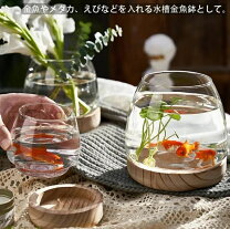楽天市場】ガラス 金魚鉢 レトロの通販