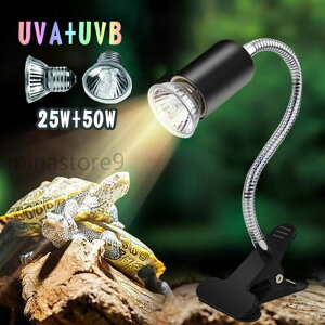 bv O T Cg OCg Cg ޗpCg ঒ Cg TCg 25W+50WAiOz ঒ރCg MсEM UVA+UVBCg oXLOCg2vt