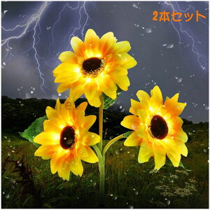 Ђ܂ K[fCg O  2{*Zbg LED \[[ Cg  u^ _   킢 g   Av[` O 邢 h hJ ƓxZT[ z[
