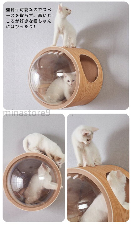 楽天市場】猫 キャットウォーク キャットステップ ベッド ハウス 壁  